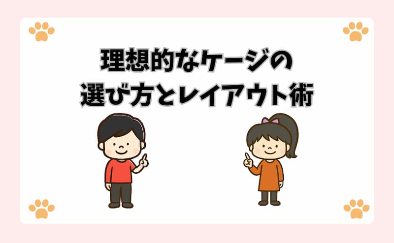 理想的なケージの選び方とレイアウト術