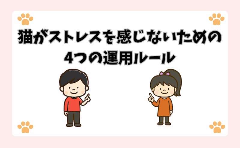 猫がストレスを感じないための4つの運用ルール
