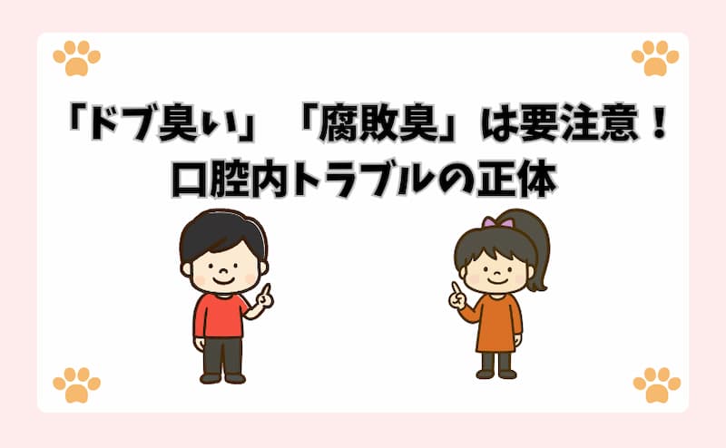 「ドブ臭い」「腐敗臭」は要注意！口腔内トラブルの正体