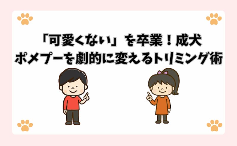 「可愛くない」を卒業！成犬ポメプーを劇的に変えるトリミング術