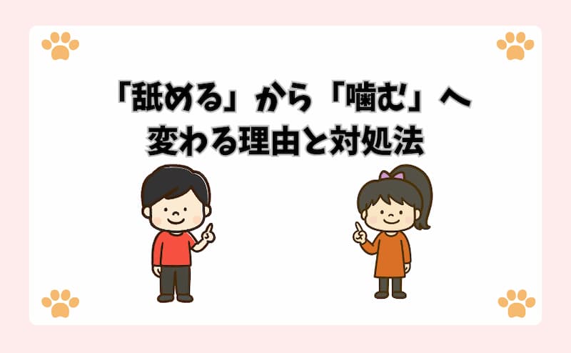 「舐める」から「噛む」へ変わる理由と対処法