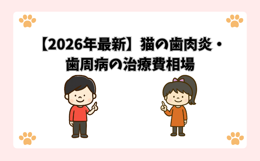 【2026年最新】猫の歯肉炎・歯周病の治療費相場