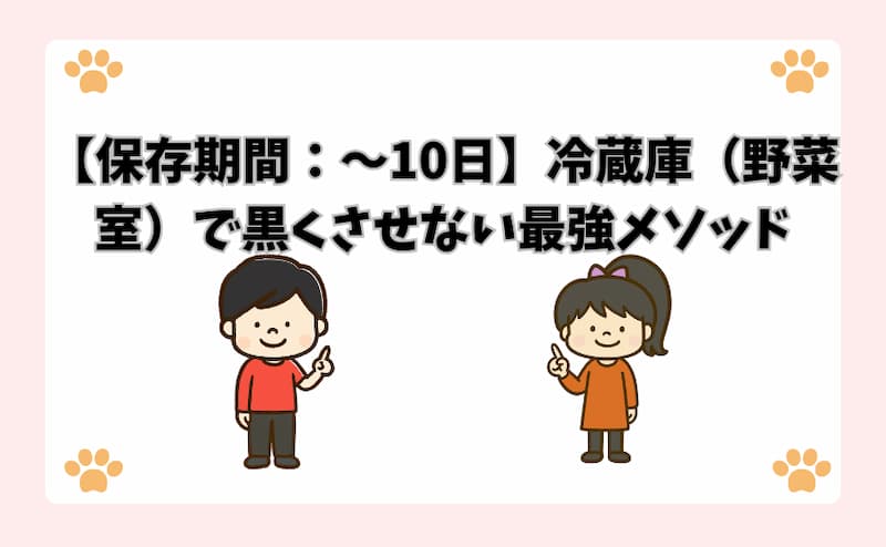 【保存期間：〜10日】冷蔵庫（野菜室）で黒くさせない最強メソッド