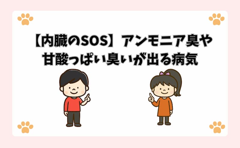 【内臓のSOS】アンモニア臭や甘酸っぱい臭いが出る病気