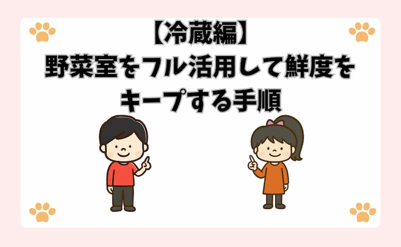 【冷蔵編】野菜室をフル活用して鮮度をキープする手順