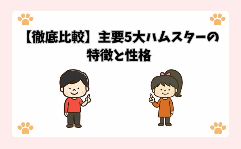 【徹底比較】主要5大ハムスターの特徴と性格