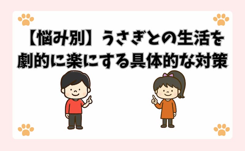 【悩み別】うさぎとの生活を劇的に楽にする具体的な対策