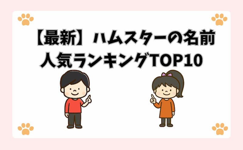 【最新】ハムスターの名前人気ランキングTOP10