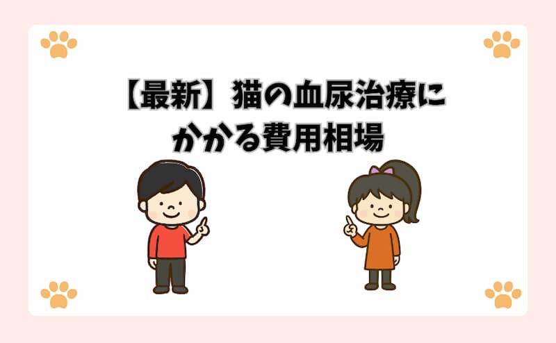【最新】猫の血尿治療にかかる費用相場