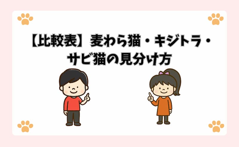 【比較表】麦わら猫・キジトラ・サビ猫の見分け方