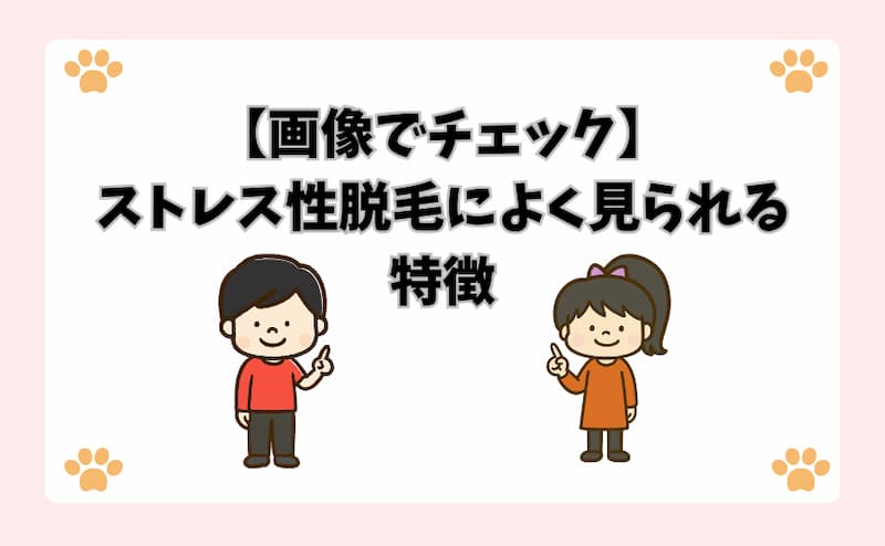 【画像でチェック】ストレス性脱毛によく見られる特徴