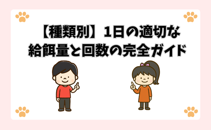 【種類別】1日の適切な給餌量と回数の完全ガイド