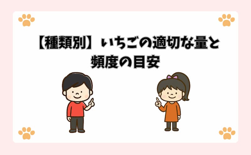 【種類別】いちごの適切な量と頻度の目安