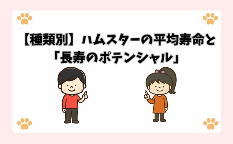 【種類別】ハムスターの平均寿命と「長寿のポテンシャル」