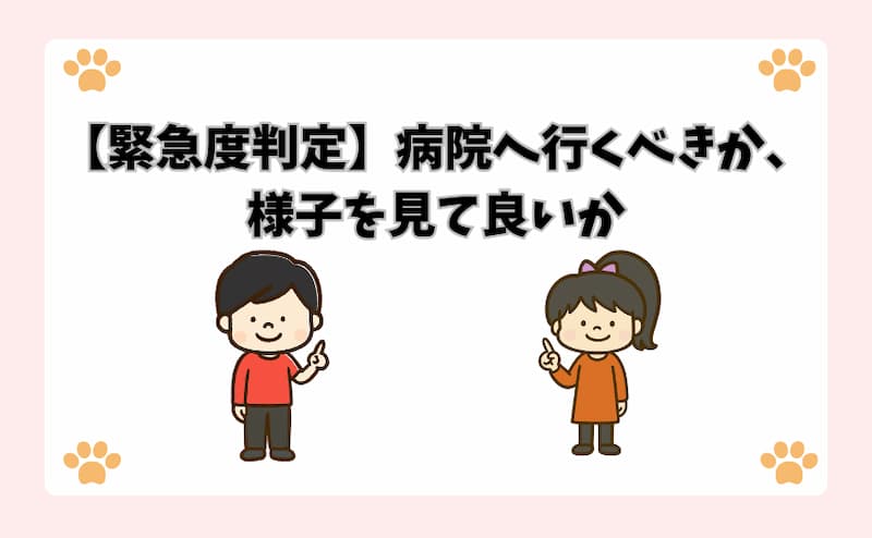 【緊急度判定】病院へ行くべきか、様子を見て良いか