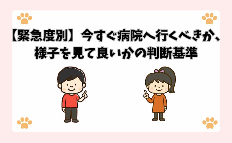 【緊急度別】今すぐ病院へ行くべきか、様子を見て良いかの判断基準