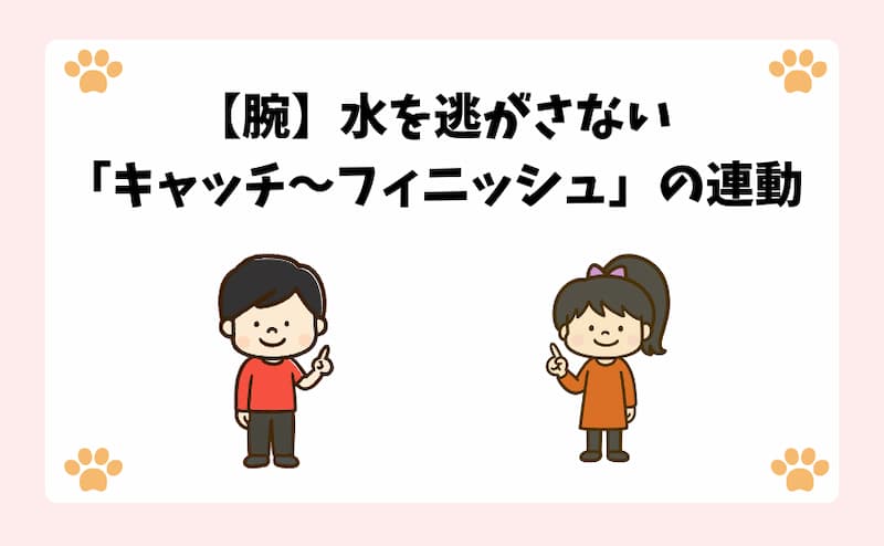 【腕】水を逃がさない「キャッチ〜フィニッシュ」の連動
