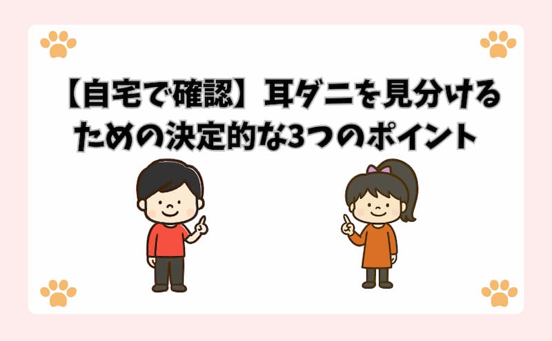 【自宅で確認】耳ダニを見分けるための決定的な3つのポイント