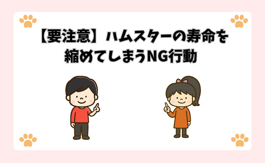 【要注意】ハムスターの寿命を縮めてしまうNG行動