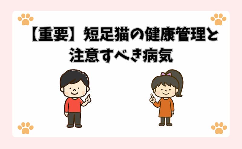 【重要】短足猫の健康管理と注意すべき病気