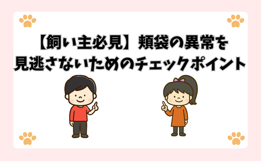 【飼い主必見】頬袋の異常を見逃さないためのチェックポイント