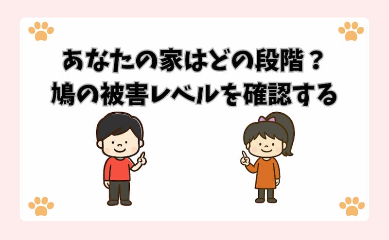 あなたの家はどの段階？鳩の被害レベルを確認する