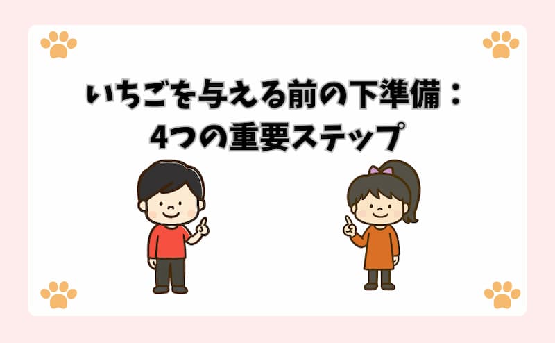 いちごを与える前の下準備：4つの重要ステップ