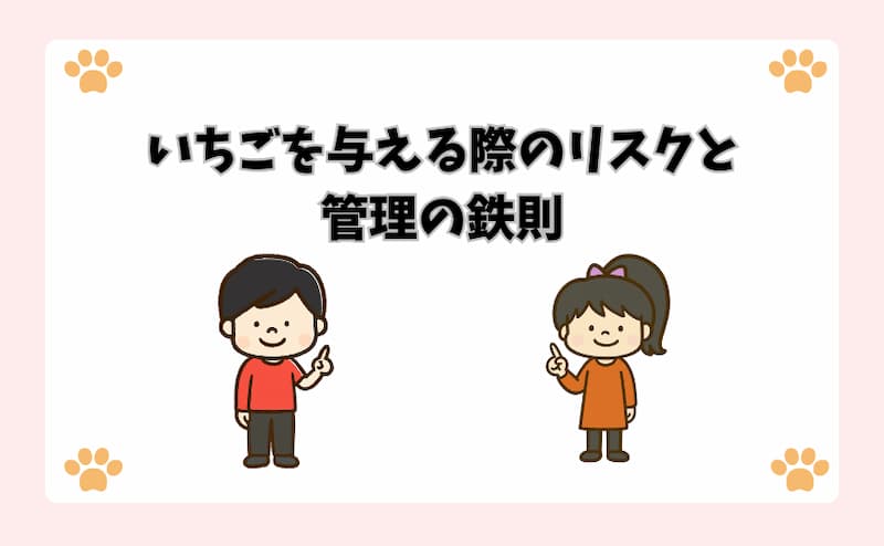 いちごを与える際のリスクと管理の鉄則