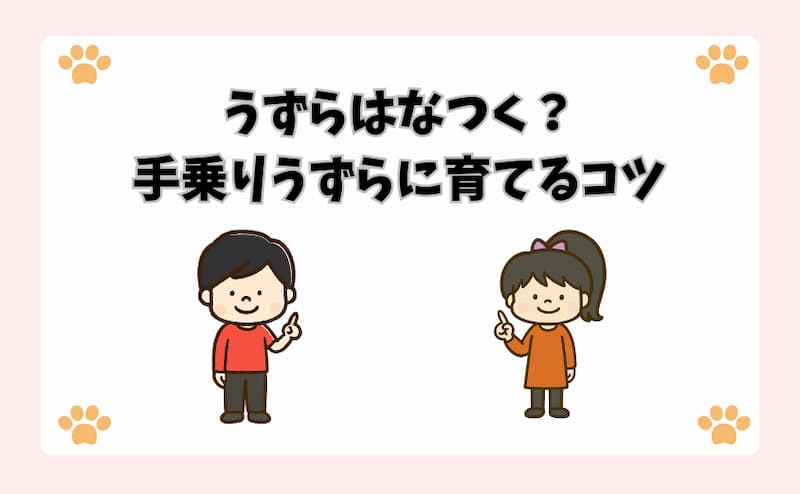うずらはなつく？手乗りうずらに育てるコツ