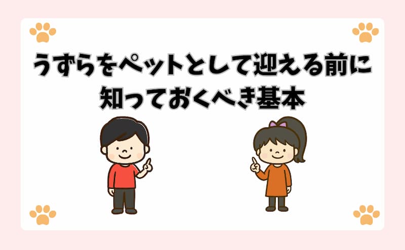 うずらをペットとして迎える前に知っておくべき基本