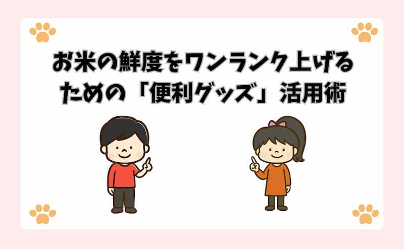 お米の鮮度をワンランク上げるための「便利グッズ」活用術