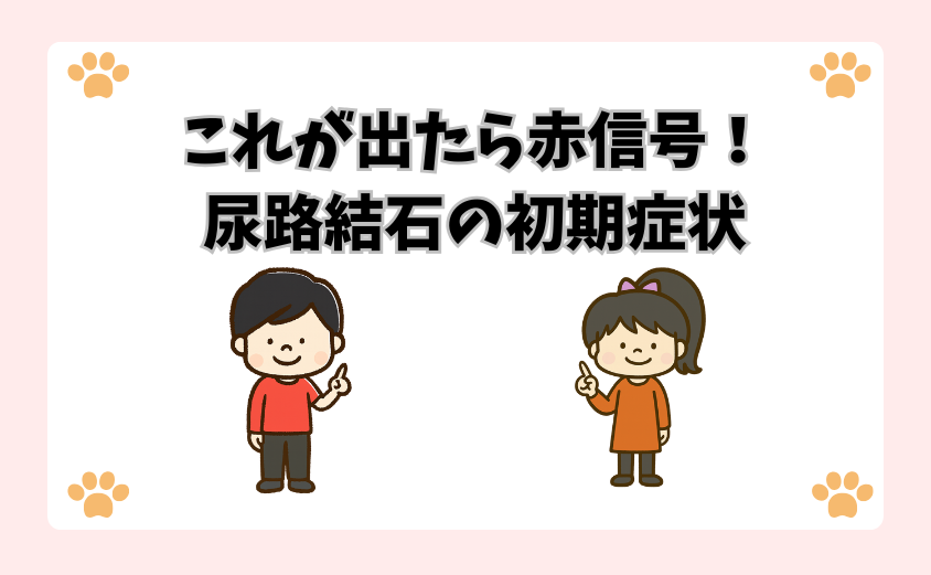 これが出たら赤信号！尿路結石の初期症状