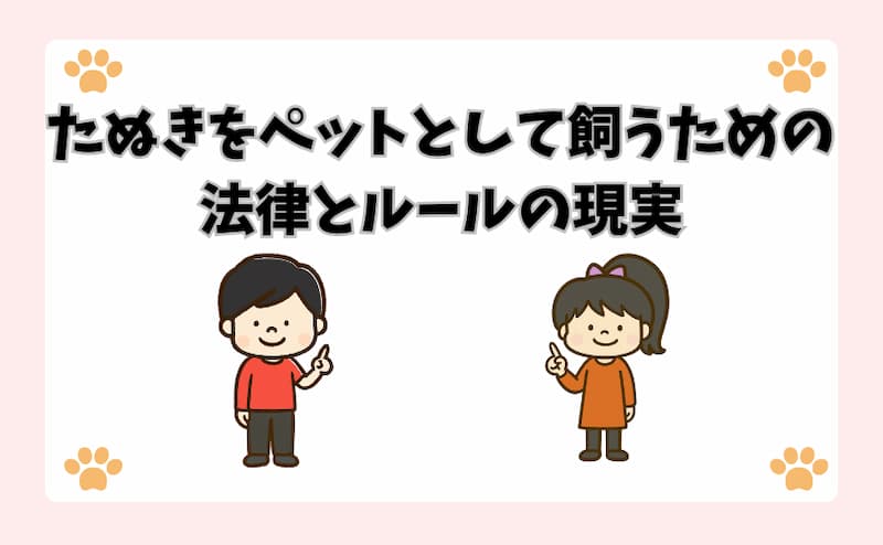 たぬきをペットとして飼うための法律とルールの現実