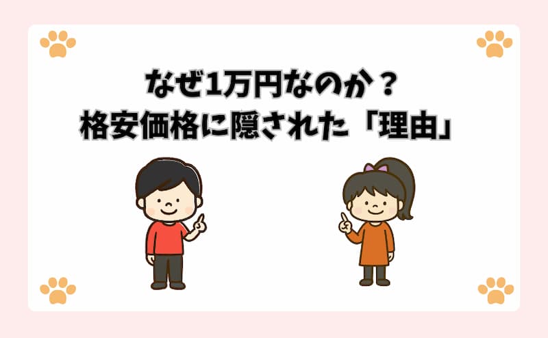 なぜ1万円なのか？格安価格に隠された「理由」