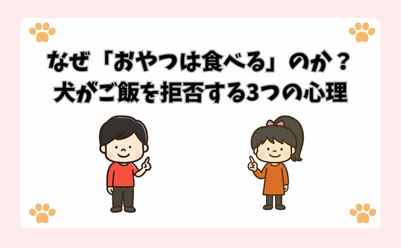 なぜ「おやつは食べる」のか？犬がご飯を拒否する3つの心理