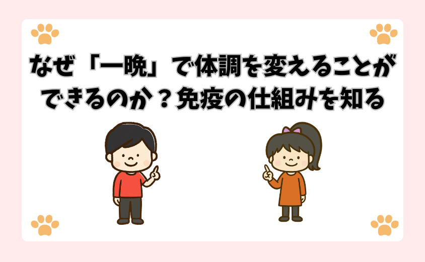 なぜ「一晩」で体調を変えることができるのか？免疫の仕組みを知る