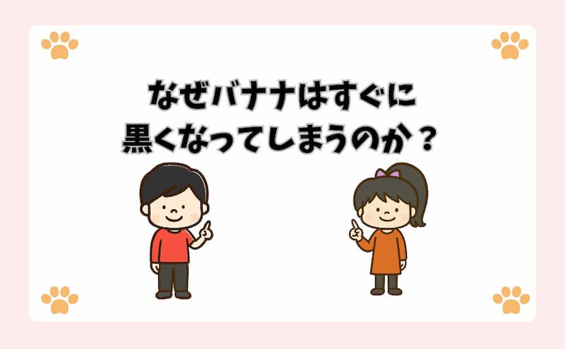 なぜバナナはすぐに黒くなってしまうのか？