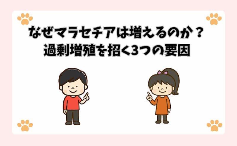 なぜマラセチアは増えるのか？過剰増殖を招く3つの要因