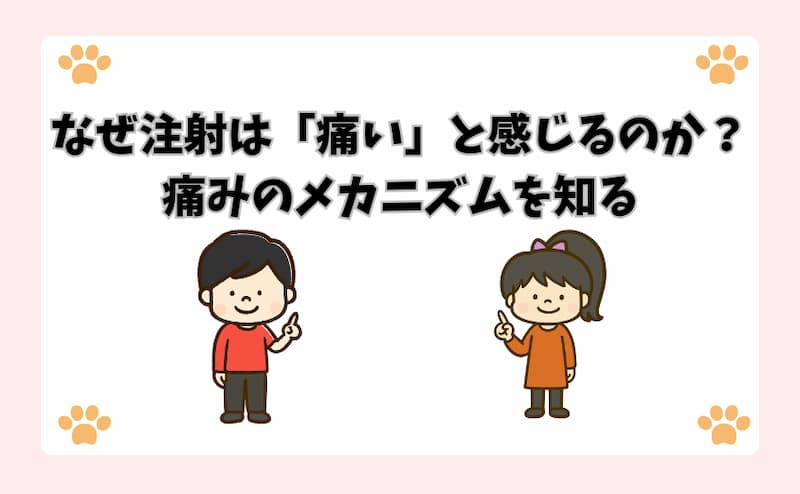 なぜ注射は「痛い」と感じるのか？痛みのメカニズムを知る