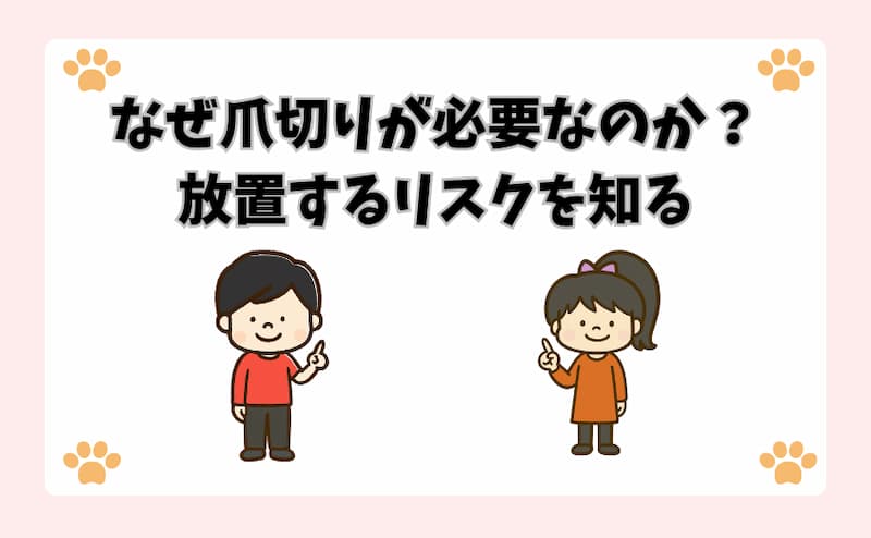 なぜ爪切りが必要なのか？放置するリスクを知る