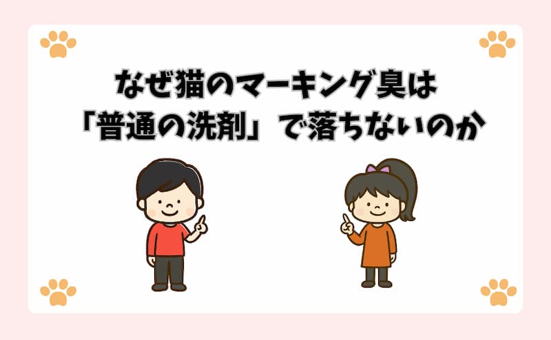 なぜ猫のマーキング臭は「普通の洗剤」で落ちないのか