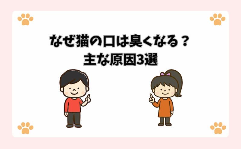 なぜ猫の口は臭くなる？主な原因3選