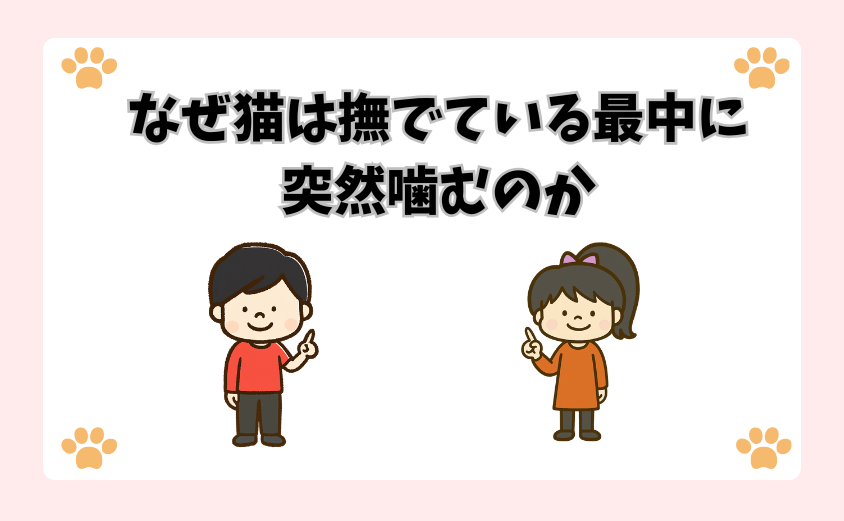 なぜ猫は撫でている最中に突然噛むのか
