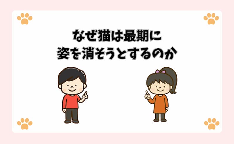 なぜ猫は最期に姿を消そうとするのか