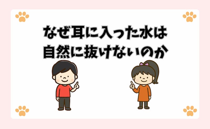 なぜ耳に入った水は自然に抜けないのか