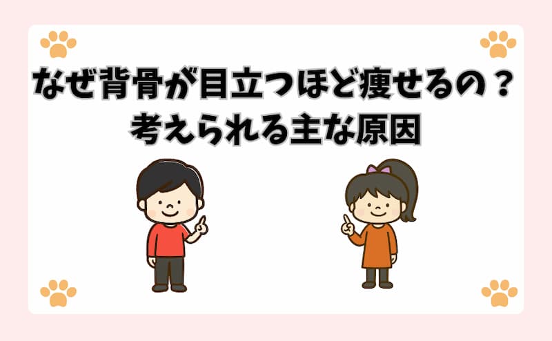 なぜ背骨が目立つほど痩せるの？考えられる主な原因