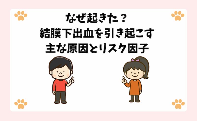 なぜ起きた？結膜下出血を引き起こす主な原因とリスク因子
