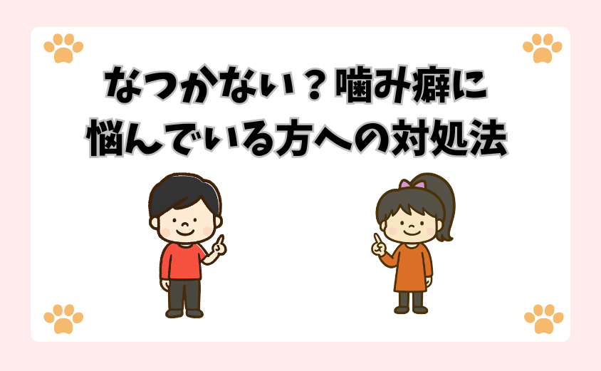 なつかない？噛み癖に悩んでいる方への対処法