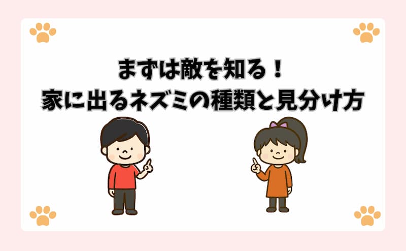 まずは敵を知る！家に出るネズミの種類と見分け方