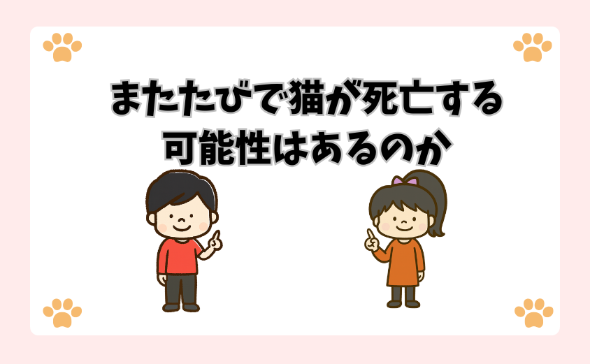 またたびで猫が死亡する可能性はあるのか